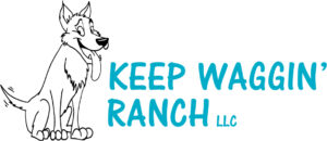 Pet Boarding Services | Doggy Daycare | Dog Boarding | Cat Boarding | Keep Waggin' Ranch