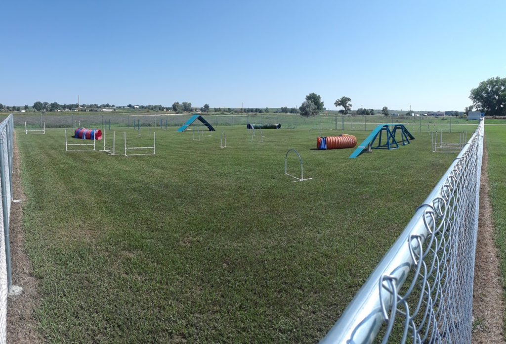 Agility Field